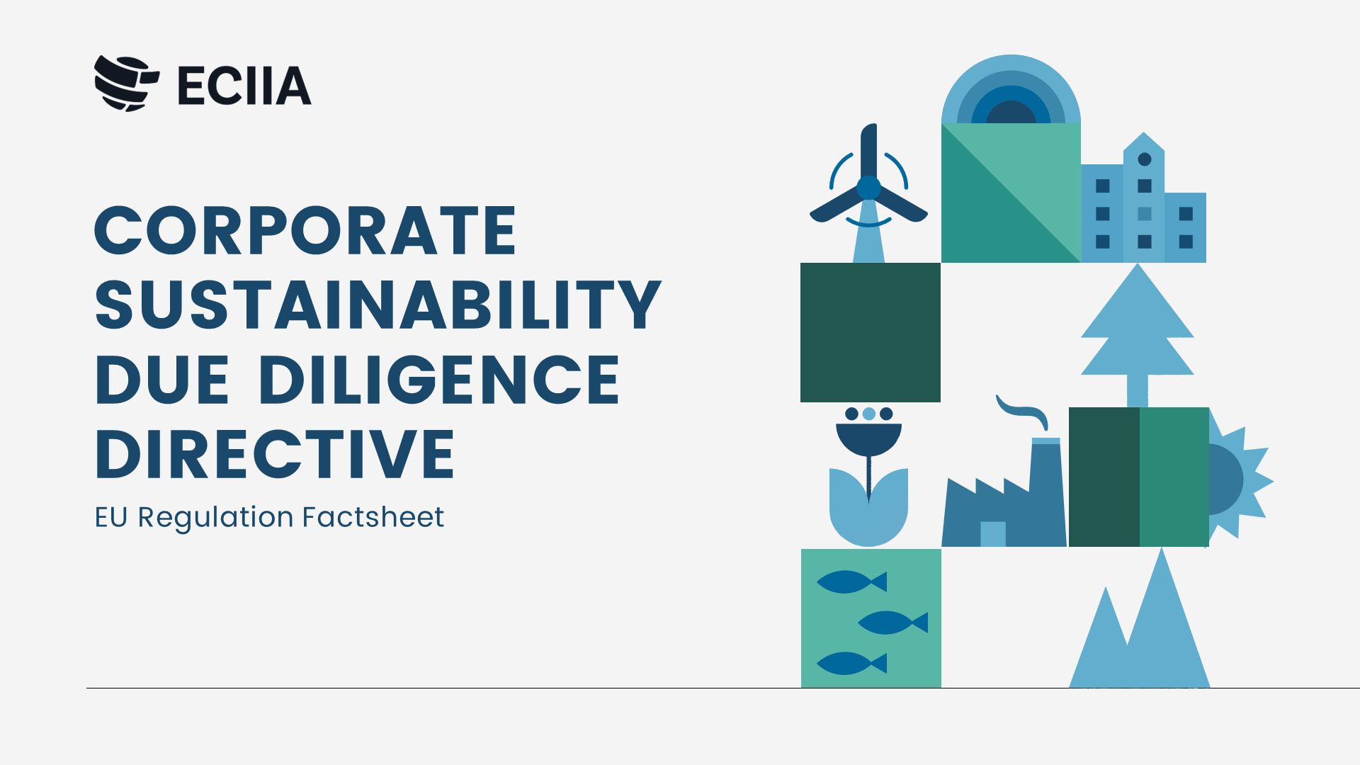 Factsheet Corporate Sustainability Due Diligence Directive ECIIA Factsheet Corporate Sustainability Due Diligence Directive ECIIA