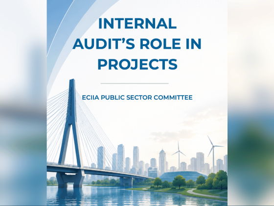 Internal Audit’s Role in Projects
